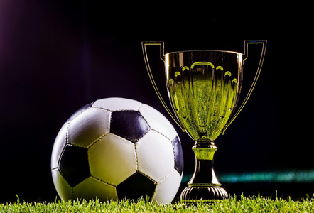 从过去屡屡 从过去屡屡